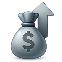 Overall Income 20000$